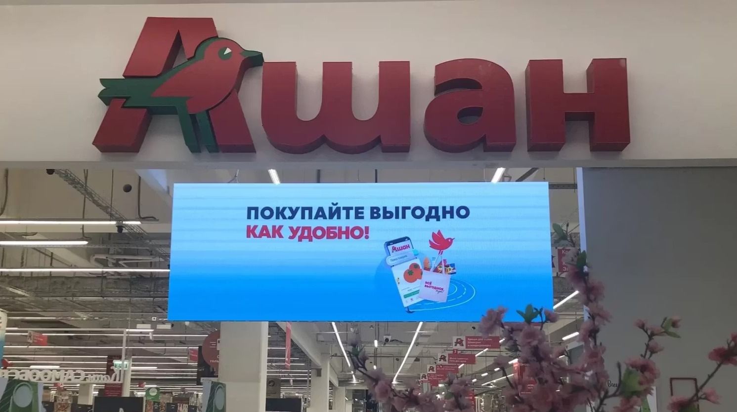 Auchan, Leroy Merlin, FM Logistic — под временным управлением в РФ